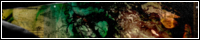 200x40.jpg